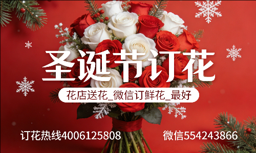 天津宝坻区花店送花_微信订鲜花_圣诞节订花_最好? 天津宝坻区花店